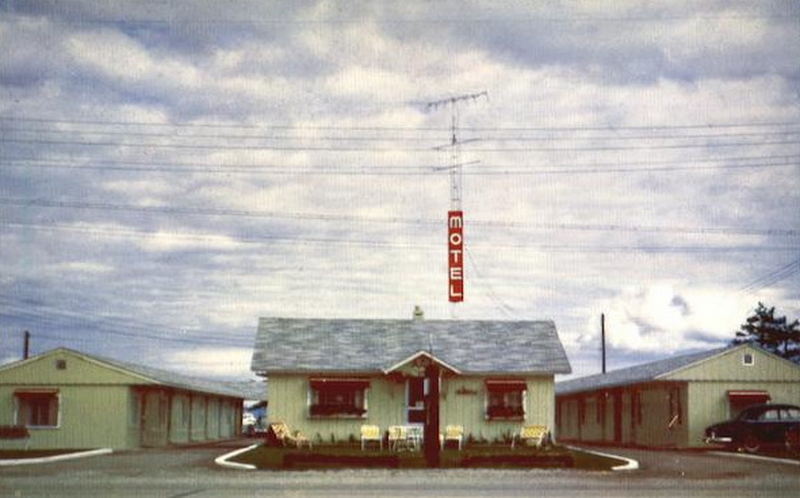 Pines Motel - Vintage Postcard